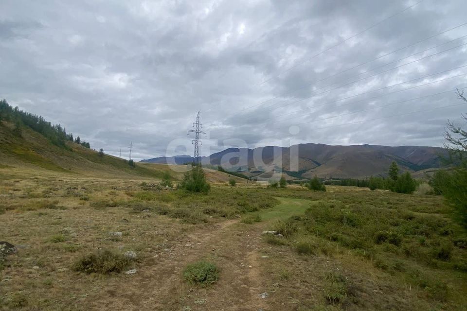 земля р-н Кош-Агачский Курай фото 5