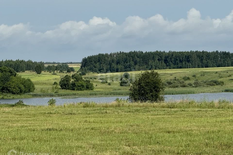 земля р-н Жирятинский Литовники фото 7