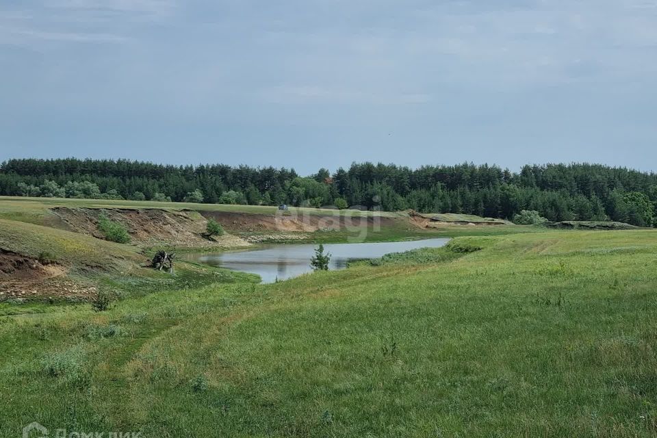 дом р-н Татищевский с Большая Ивановка ул Гутчалина 12 Ягодно-Полянское сельское поселение фото 7