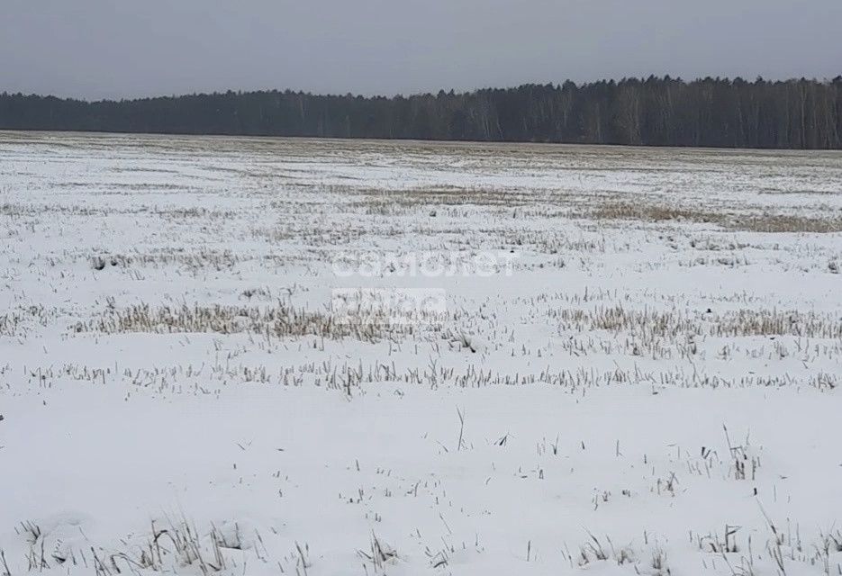 земля р-н Тугулымский Мальцево фото 6