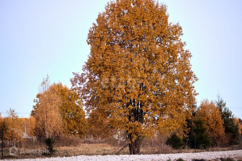 земля р-н Калининский д Шалайково улица Берёзовая Аллея, 1 фото 10