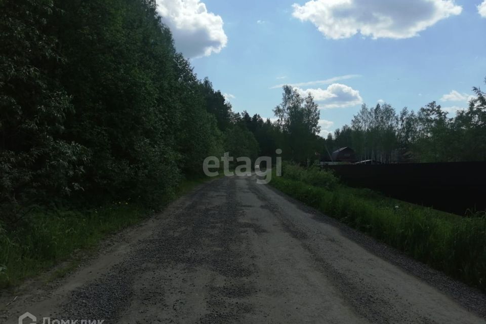 земля г Тверь р-н Московский Тверь городской округ, СТ Химик фото 6