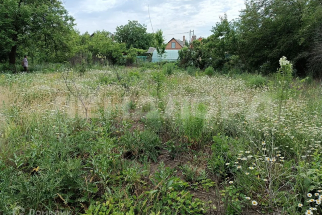 Новочеркасск городской округ, 11-я линия, 11, СНТ Надежда фото