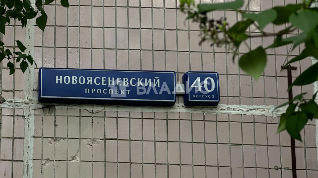 квартира г Москва метро Новоясеневская пр-кт Новоясеневский 40к/3 муниципальный округ Ясенево фото 28