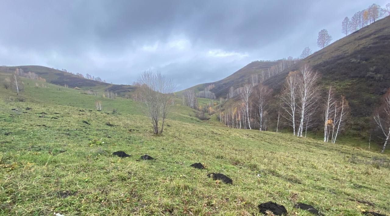 земля р-н Солонешенский с Солонешное ул Полевая 2 фото 3