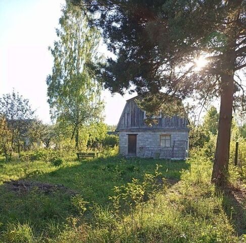 тер СДТ Первомайское Чернетовское с/пос фото