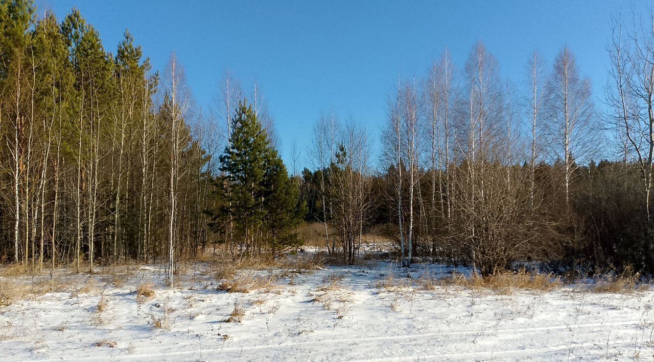 земля р-н Тюменский с Горьковка ул Сибирская фото 4