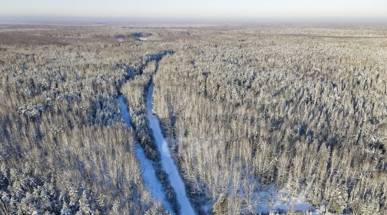 земля р-н Нижнетавдинский п Лесозаводский ул Мира фото 18