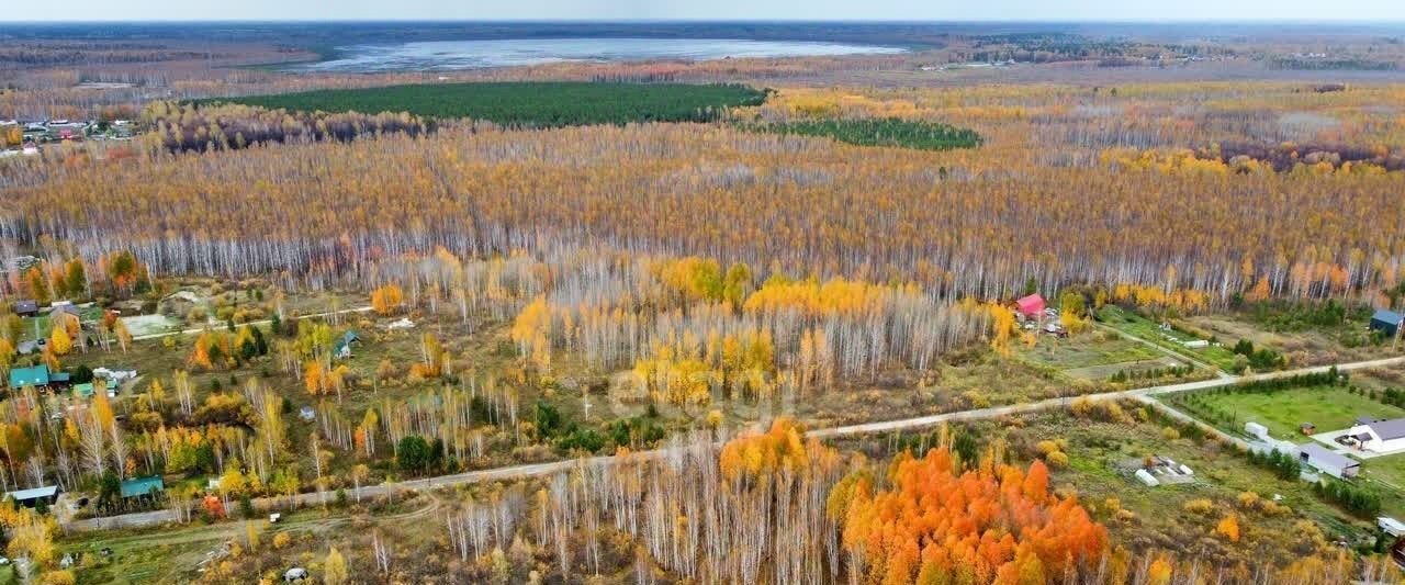 офис р-н Нижнетавдинский с Тюнево Тюневское сельское поселение фото 3