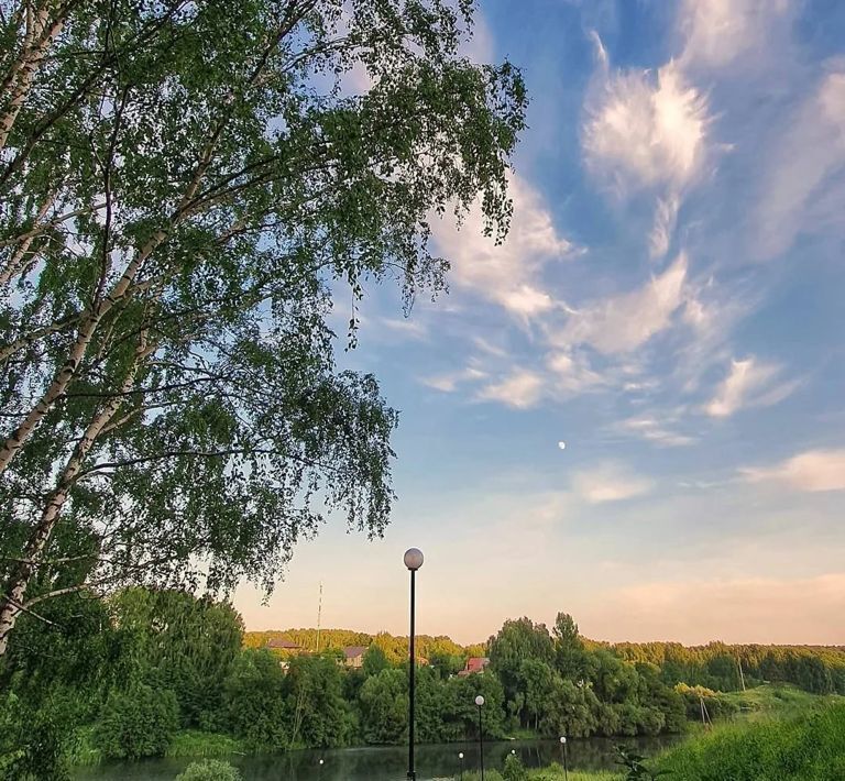 дом городской округ Ленинский д Дыдылдино 40А фото 30