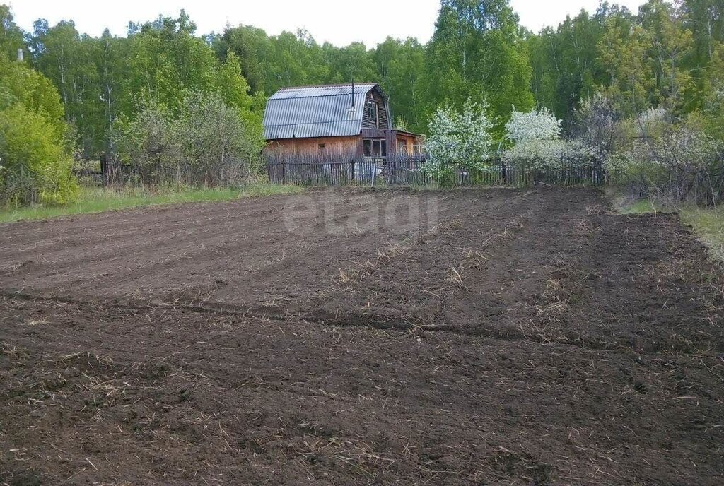 земля р-н Кетовский д Лукино снт Раздолье-4 ул Берёзовая фото 4