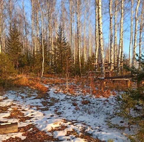 земля п Верх-Нейвинский фото