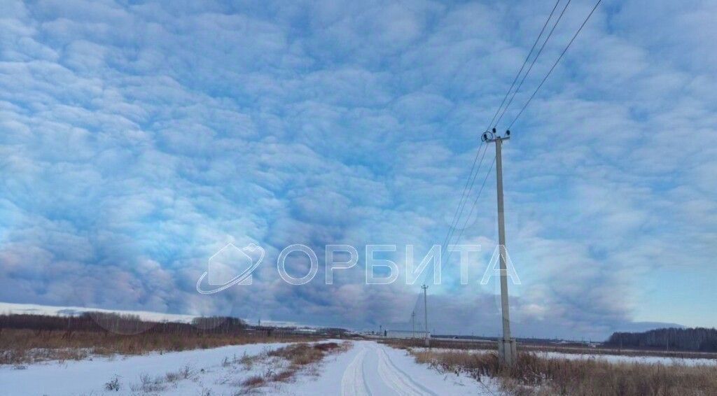 земля р-н Тюменский с Горьковка ул Сибирская фото 3