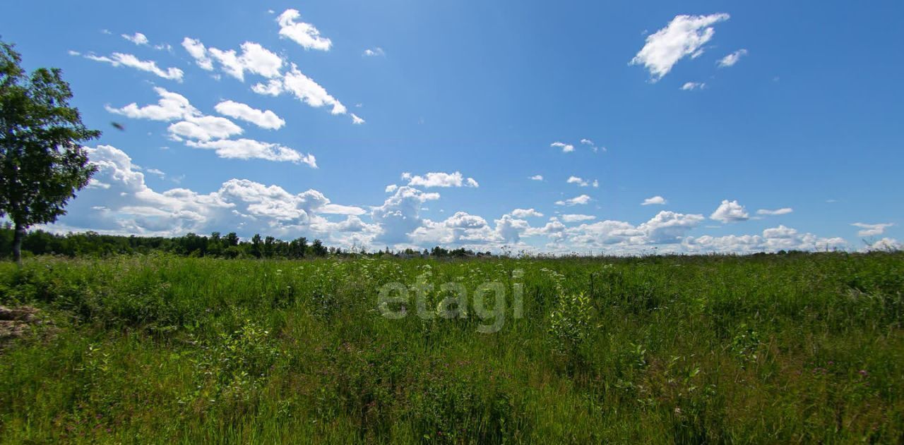 земля р-н Томский с Кафтанчиково пер Гаражный фото 11