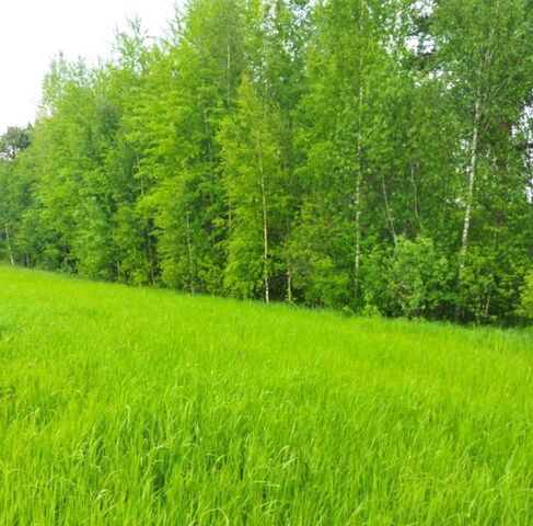 земля д Сакулино Черногубовское сельское поселение фото