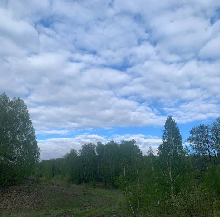 земля р-н Баймакский д Актау 300А, Октябрьский фото 4