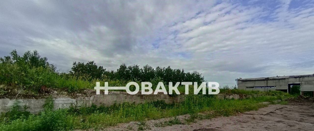 производственные, складские р-н Новосибирский п Садовый ул Производственная 31 Станционный сельсовет фото 11