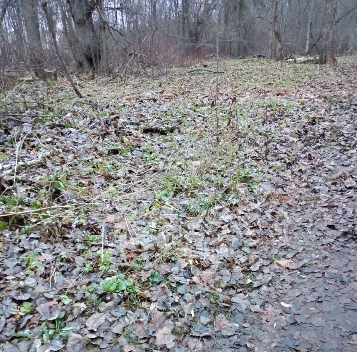 земля р-н Ломоносовский д Пигелево Ленинский проспект, Аннинское городское поселение фото 2