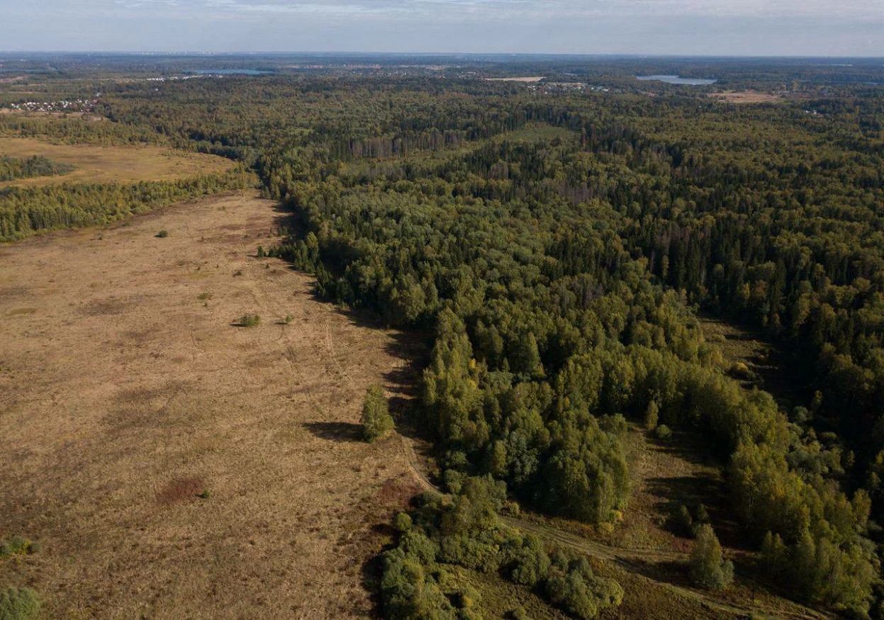 земля городской округ Истра д Алёхново 42 км, 46, Истра, Пятницкое шоссе фото 14