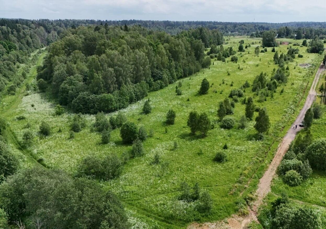 земля городской округ Истра д Алёхново 42 км, 46, Истра, Пятницкое шоссе фото 16