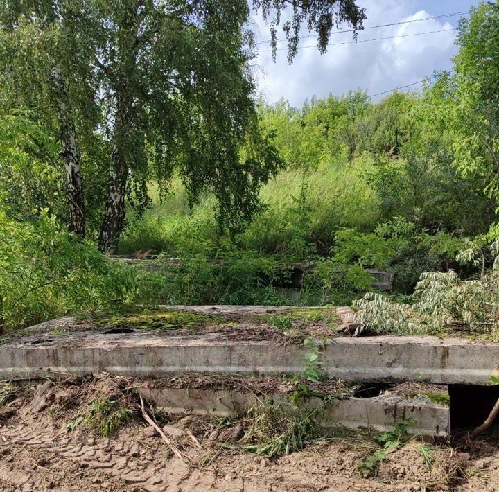 земля г Новосибирск р-н Октябрьский Цветущая Плющиха садовое товарищество фото 8