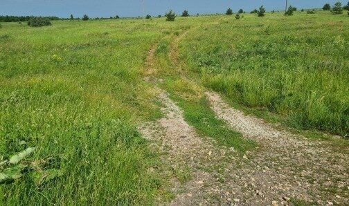 р-н Шатковский сельсовет, городской округ Арзамас фото