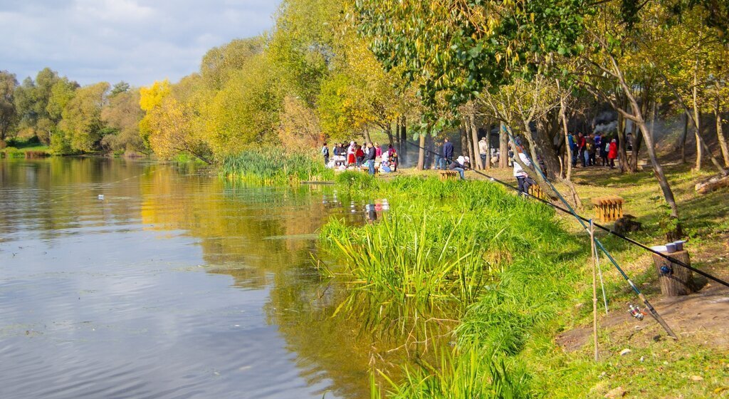 земля городской округ Раменский территориальное управление Кузнецовское фото 29