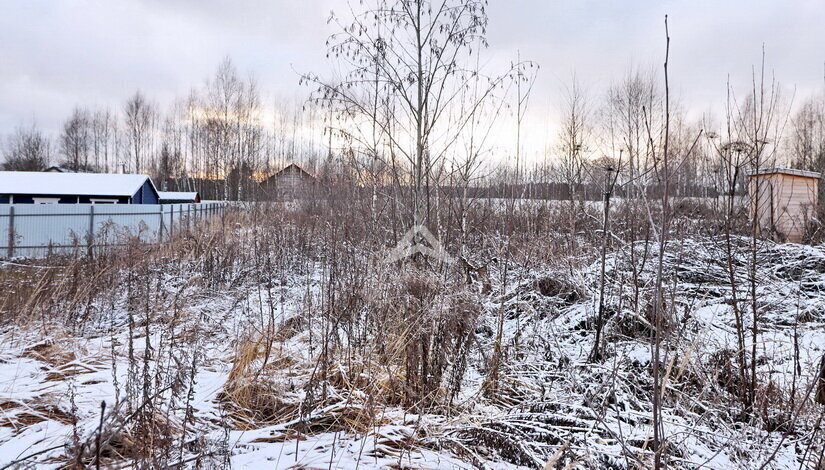 земля городской округ Солнечногорск д Соколово р-н кв-л дачной застройки Горлица Зеленоград — Крюково фото 9