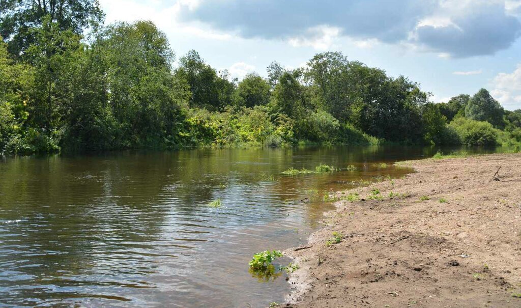 земля городской округ Можайский ДНП Речной фото 28