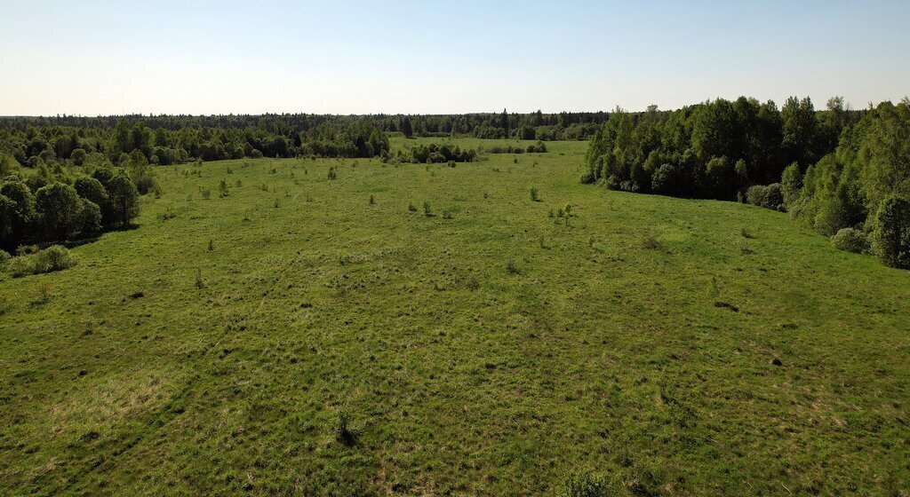 земля городской округ Рузский фото 3