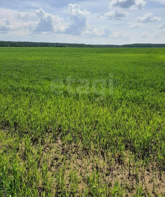 земля городской округ Шатура д Дубровка 100 фото 4