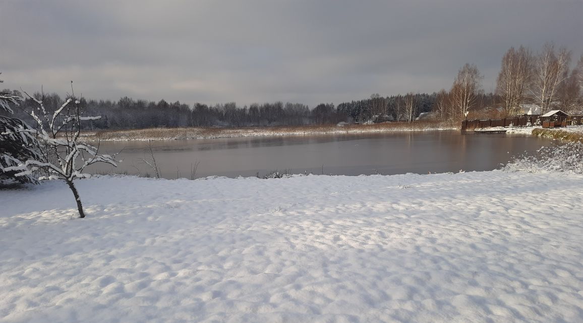 дом городской округ Дмитровский Аква Форест кп, 68 фото 2