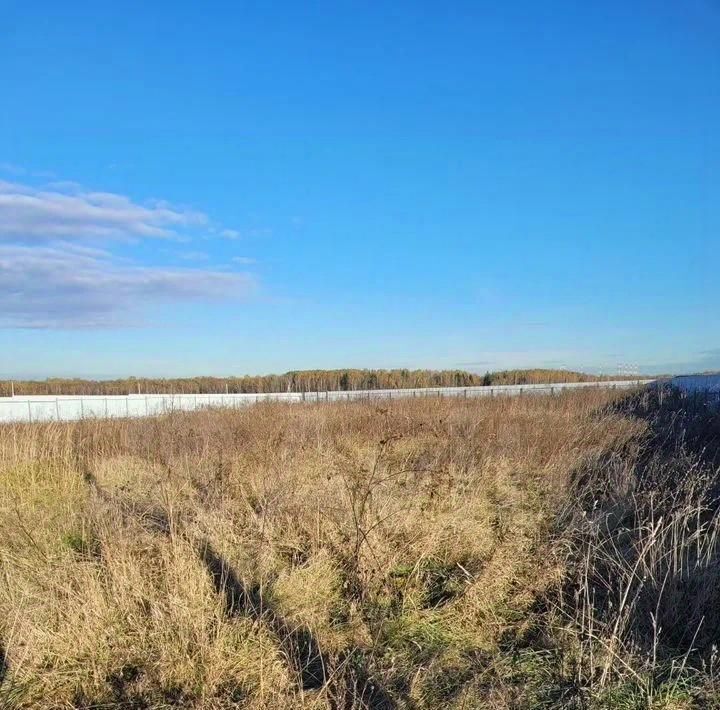 земля городской округ Чехов с Молоди Подольск фото 3