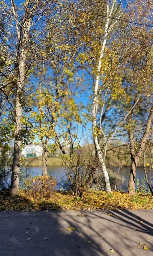 земля городской округ Раменский с Константиново 19 км, Володарского, Новорязанское шоссе фото 12