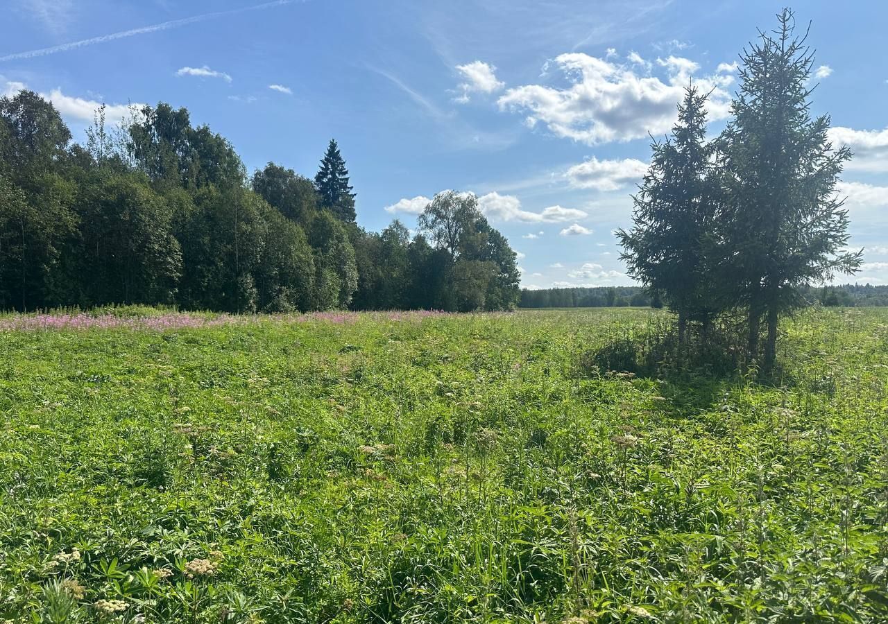 земля городской округ Клин д Кореньки 56 км, Новопетровское, Ленинградское шоссе фото 24