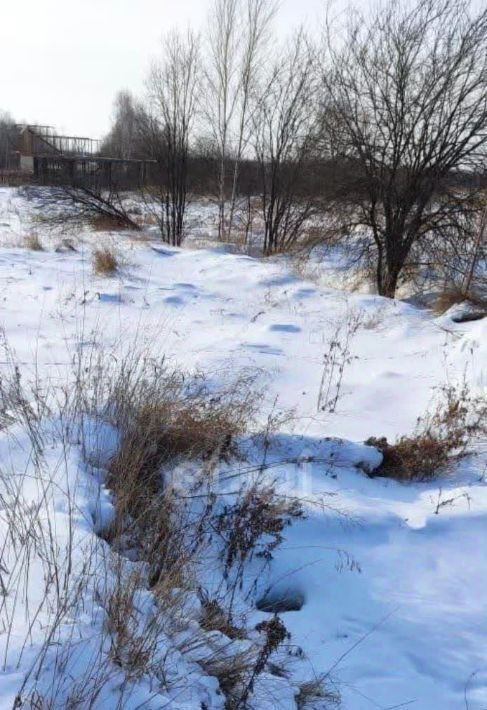 земля р-н Комсомольский с Новый Мир ул Лесная сельское поселение Село Новый Мир фото 4