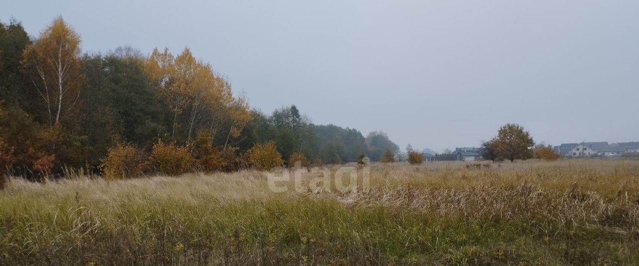 земля р-н Славский п Высокое фото 1