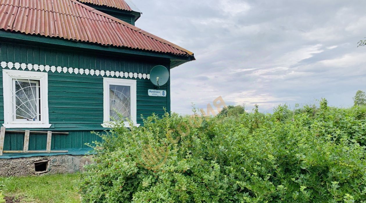 дом р-н Ломоносовский д Мухоловка Лаголовское с/пос, Проспект Ветеранов, 8 фото 19