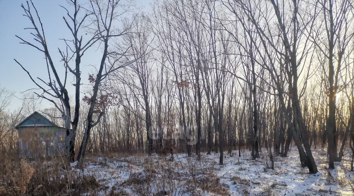 земля р-н Партизанский снт Росток Надеждинский район фото 5