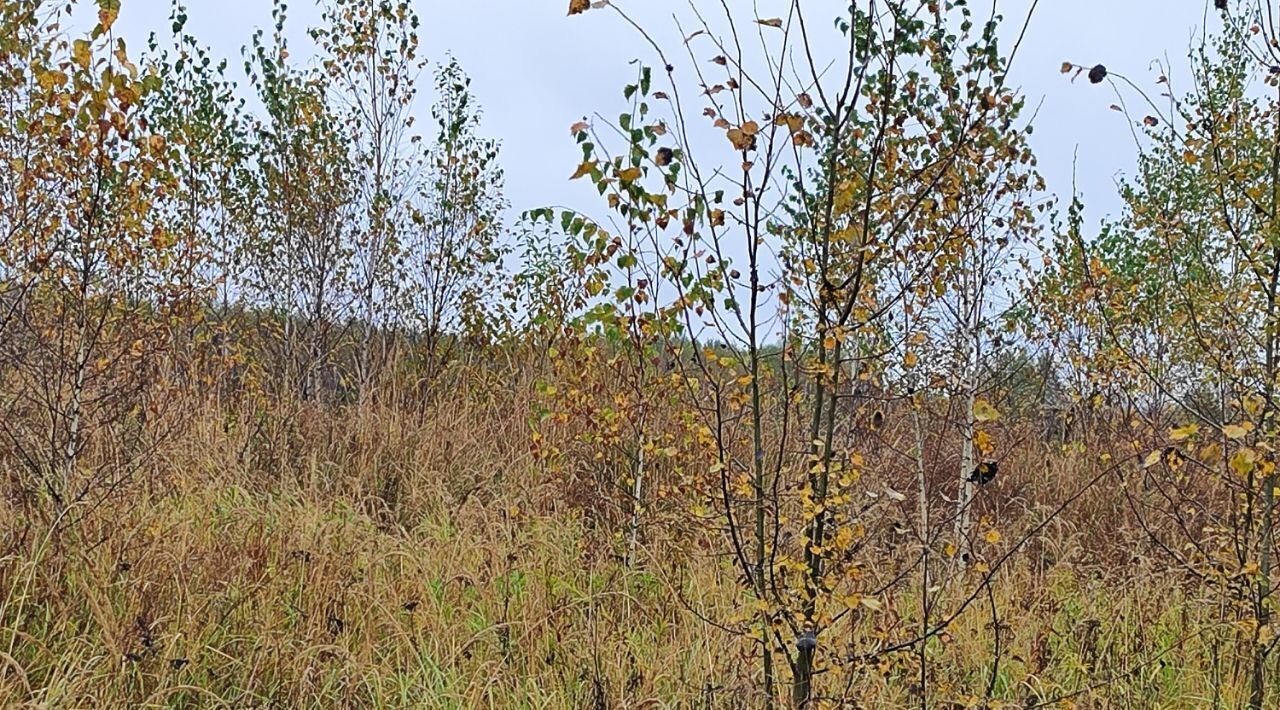 офис городской округ Раменский д Володино фото 1