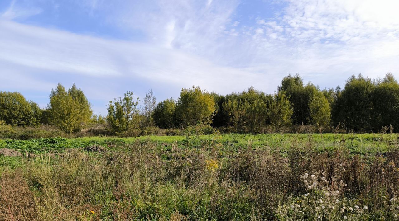 офис городской округ Лотошино д Володино фото 1