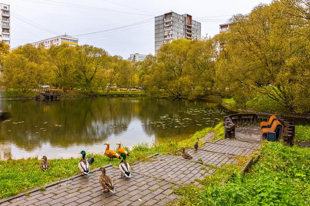 квартира городской округ Солнечногорск д Коньково улица Академика Волгина, 31 к 2, Москва фото 31