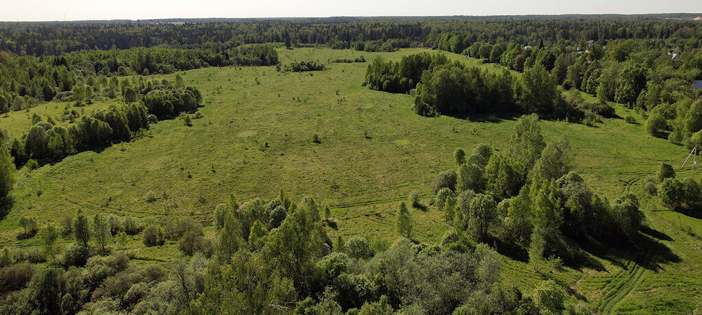 земля городской округ Рузский фото 5