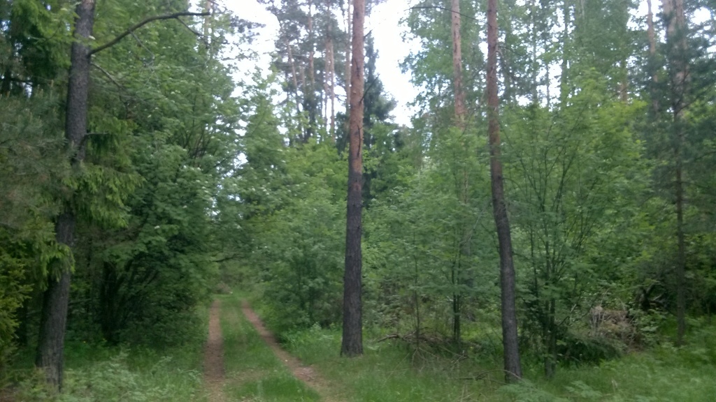 гостиницу р-н Кулундинский п Городецкий д. 32Б, сельский поселок Городецкий фото 17