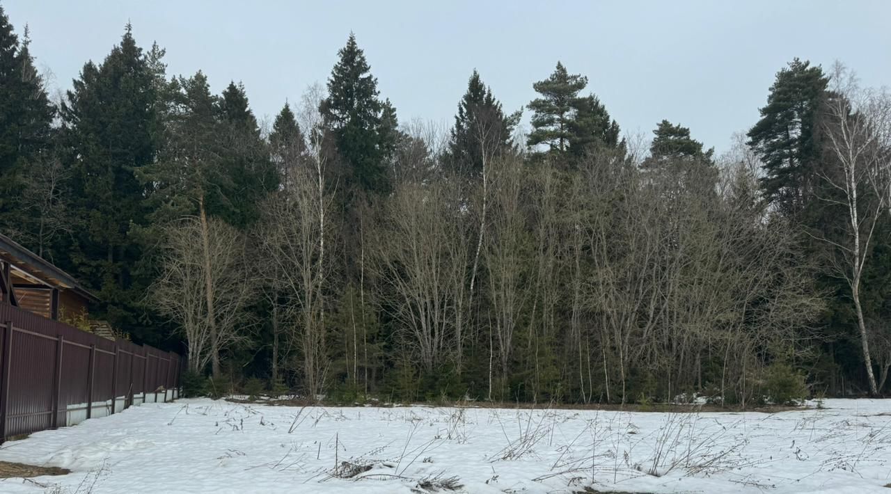 земля городской округ Дмитровский п Новое Гришино ул Сосновая фото 3