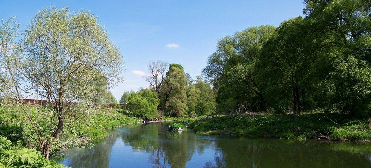 земля городской округ Чехов д Баранцево Швейцарская Долина кп фото 9