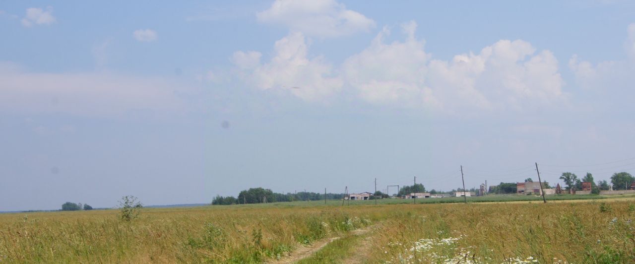 земля городской округ Клин д Губино днт Чистые пруды фото 8