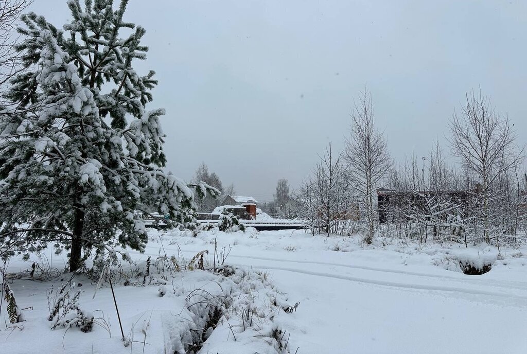 земля городской округ Истра д Сафонтьево днп терСафонтьевские дачи фото 5