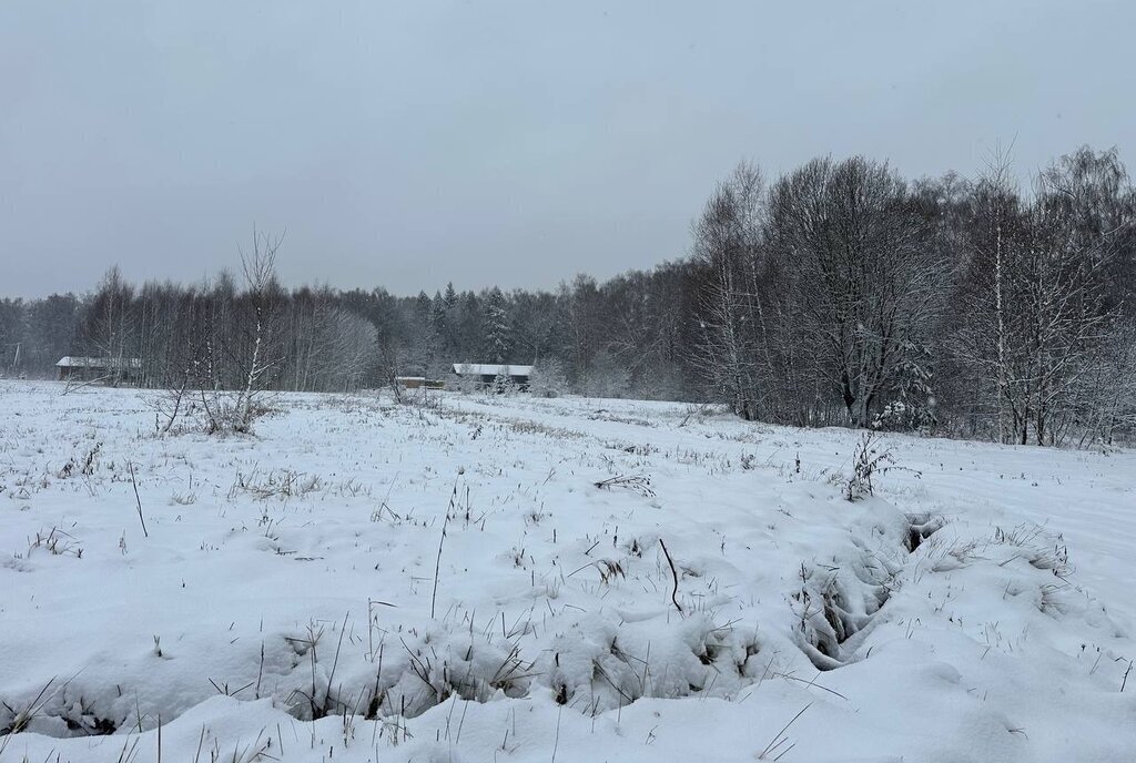 земля городской округ Истра д Сафонтьево днп терСафонтьевские дачи фото 19