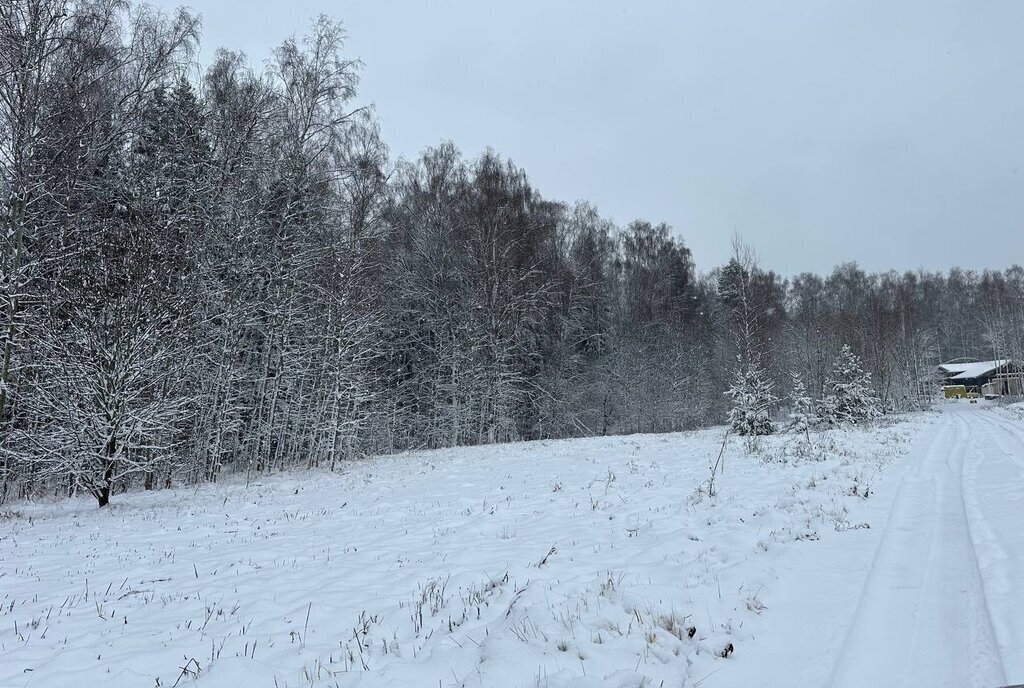 земля городской округ Истра д Сафонтьево днп терСафонтьевские дачи фото 8